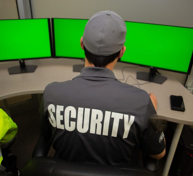 pexels-flex-point-security-12473880